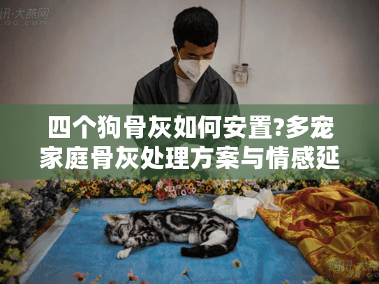 四个狗骨灰如何安置?多宠家庭骨灰处理方案与情感延续指南