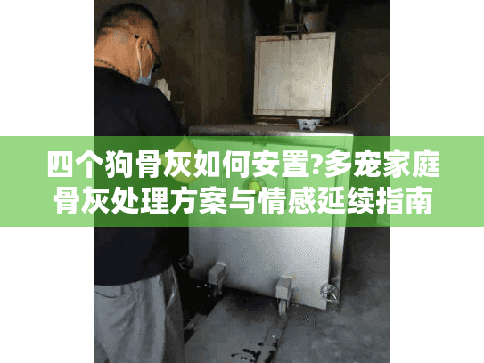 四个狗骨灰如何安置?多宠家庭骨灰处理方案与情感延续指南