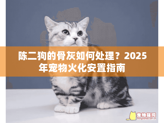 陈二狗的骨灰如何处理？2025年宠物火化安置指南