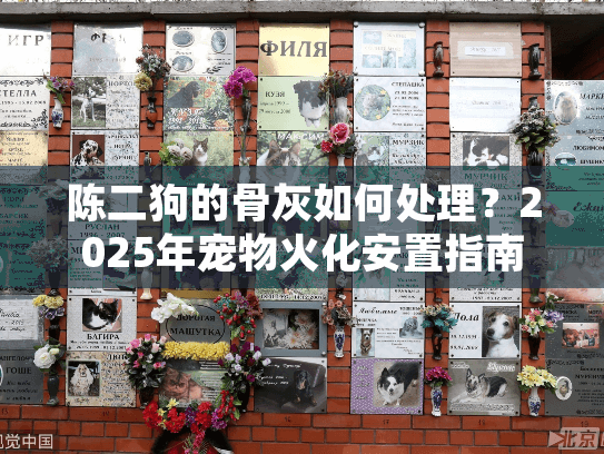 陈二狗的骨灰如何处理？2025年宠物火化安置指南
