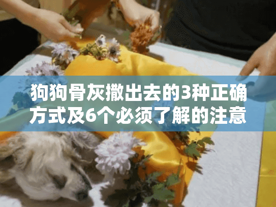 狗狗骨灰撒出去的3种正确方式及6个必须了解的注意事项