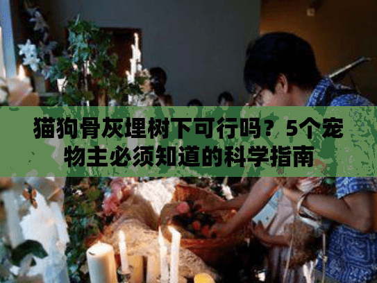 猫狗骨灰埋树下可行吗？5个宠物主必须知道的科学指南