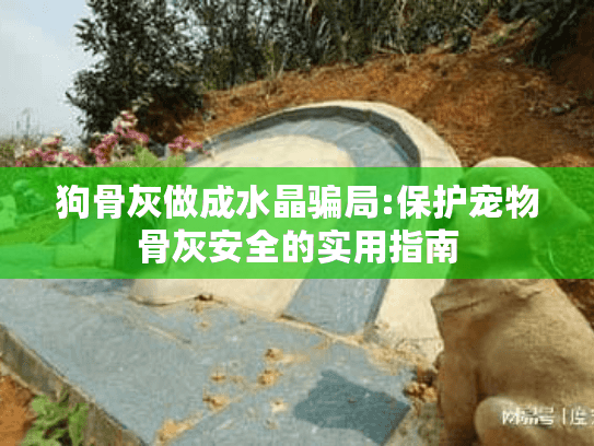 狗骨灰做成水晶骗局:保护宠物骨灰安全的实用指南