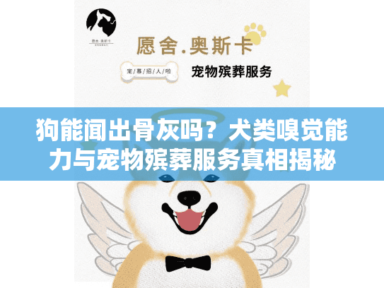 狗能闻出骨灰吗？犬类嗅觉能力与宠物殡葬服务真相揭秘