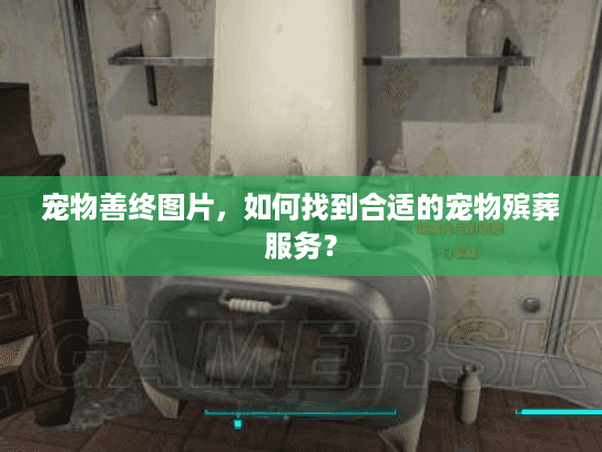 宠物善终图片，如何找到合适的宠物殡葬服务？