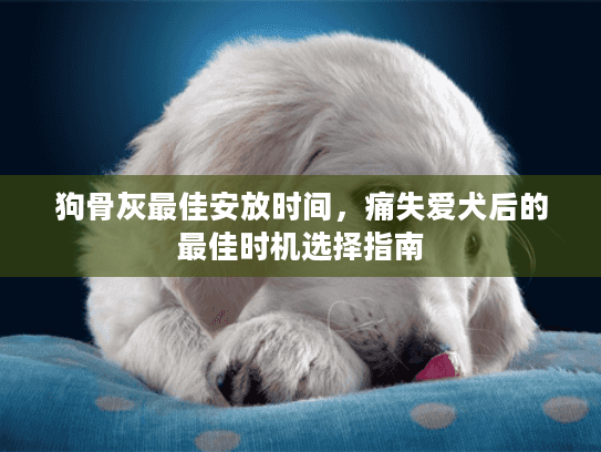 狗骨灰最佳安放时间，痛失爱犬后的最佳时机选择指南