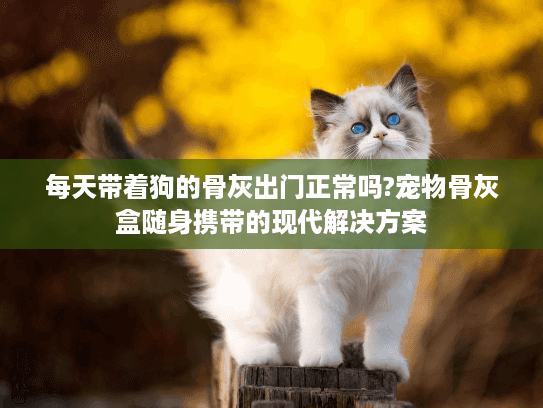 每天带着狗的骨灰出门正常吗?宠物骨灰盒随身携带的现代解决方案