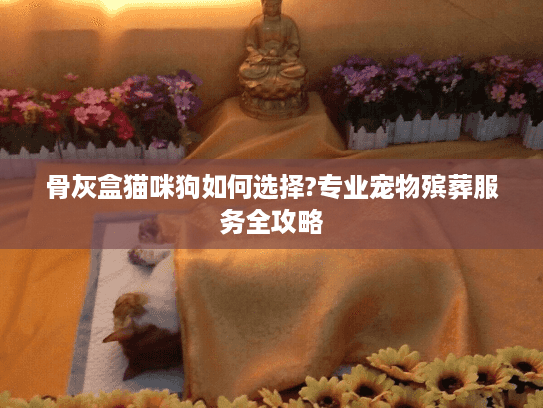 骨灰盒猫咪狗如何选择?专业宠物殡葬服务全攻略