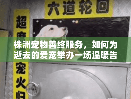 株洲宠物善终服务，如何为逝去的爱宠举办一场温暖告别仪式？