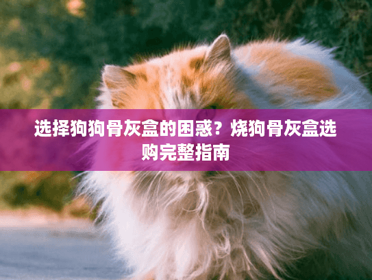 选择狗狗骨灰盒的困惑？烧狗骨灰盒选购完整指南