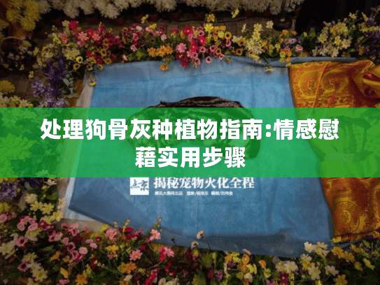 处理狗骨灰种植物指南:情感慰藉实用步骤