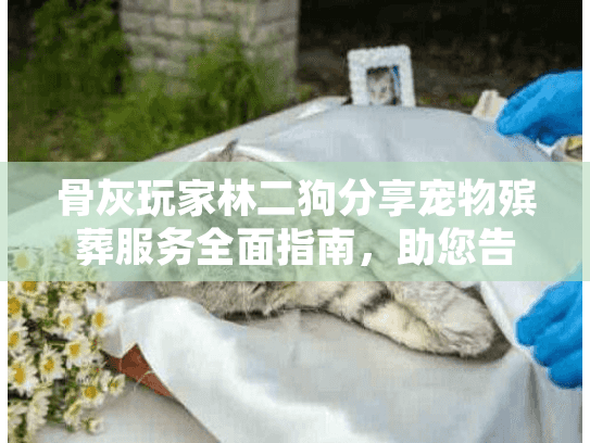 骨灰玩家林二狗分享宠物殡葬服务全面指南，助您告别爱宠体面处理骨灰