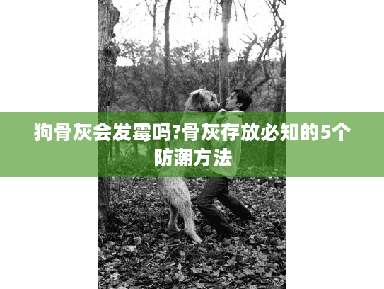 狗骨灰会发霉吗?骨灰存放必知的5个防潮方法