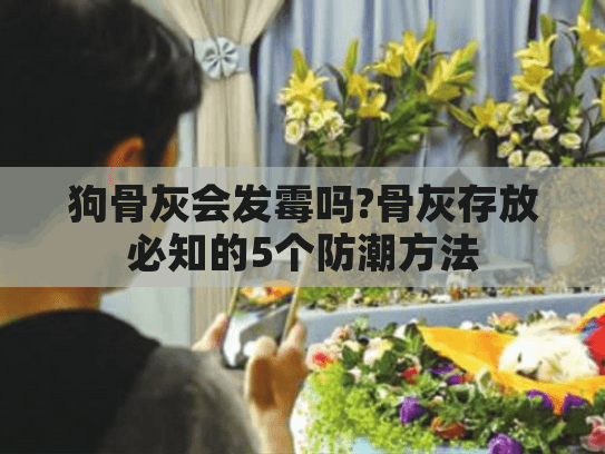 狗骨灰会发霉吗?骨灰存放必知的5个防潮方法