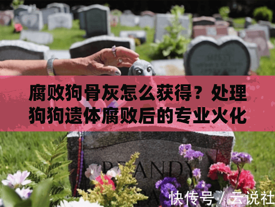 腐败狗骨灰怎么获得？处理狗狗遗体腐败后的专业火化指南