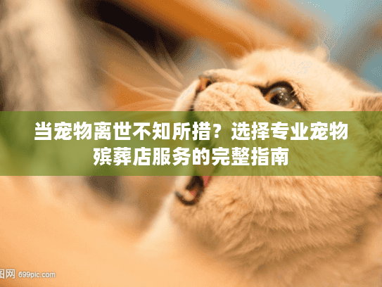 当宠物离世不知所措？选择专业宠物殡葬店服务的完整指南