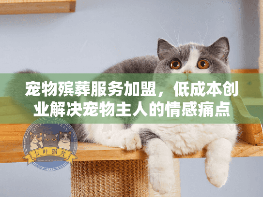 宠物殡葬服务加盟，低成本创业解决宠物主人的情感痛点