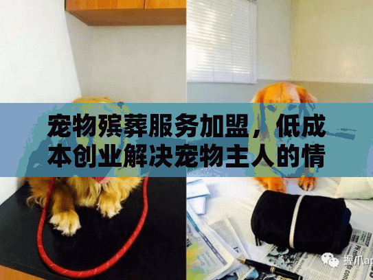 宠物殡葬服务加盟，低成本创业解决宠物主人的情感痛点