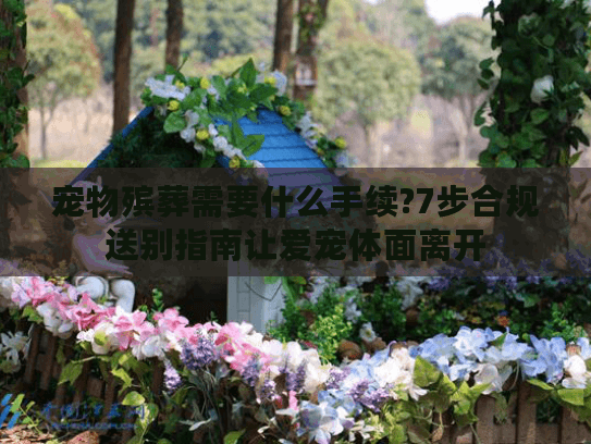 宠物殡葬需要什么手续?7步合规送别指南让爱宠体面离开