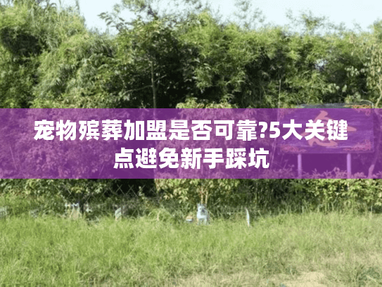 宠物殡葬加盟是否可靠?5大关键点避免新手踩坑