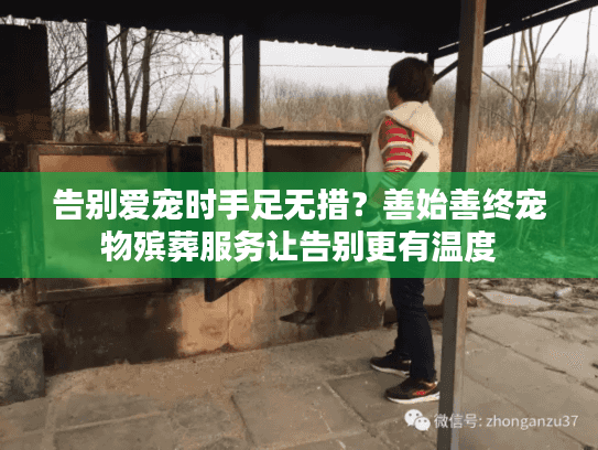 告别爱宠时手足无措？善始善终宠物殡葬服务让告别更有温度