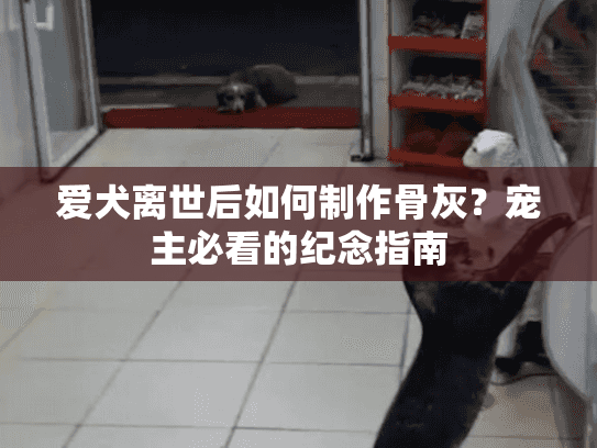 爱犬离世后如何制作骨灰？宠主必看的纪念指南