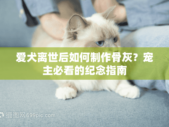 爱犬离世后如何制作骨灰？宠主必看的纪念指南