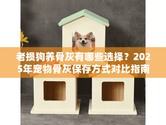 老损狗养骨灰有哪些选择？2025年宠物骨灰保存方式对比指南