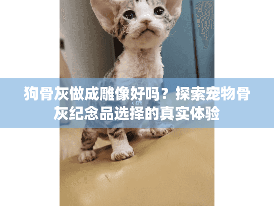 狗骨灰做成雕像好吗？探索宠物骨灰纪念品选择的真实体验