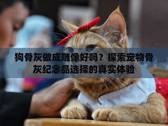 狗骨灰做成雕像好吗？探索宠物骨灰纪念品选择的真实体验