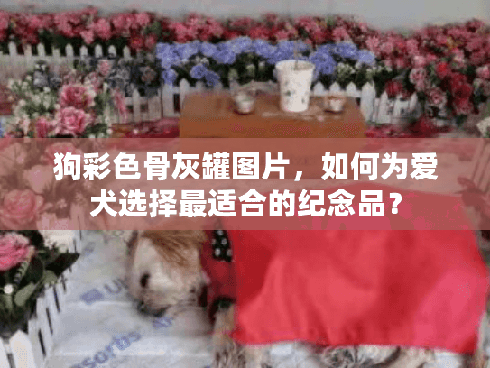 狗彩色骨灰罐图片，如何为爱犬选择最适合的纪念品？