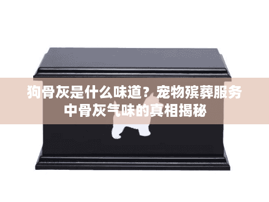 狗骨灰是什么味道？宠物殡葬服务中骨灰气味的真相揭秘
