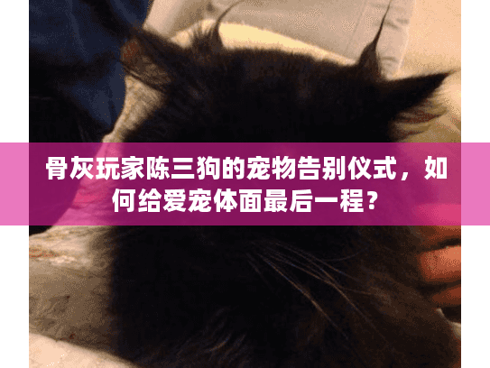 骨灰玩家陈三狗的宠物告别仪式，如何给爱宠体面最后一程？