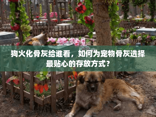 狗火化骨灰给谁看，如何为宠物骨灰选择最贴心的存放方式？