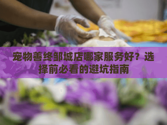 宠物善终邹城店哪家服务好？选择前必看的避坑指南