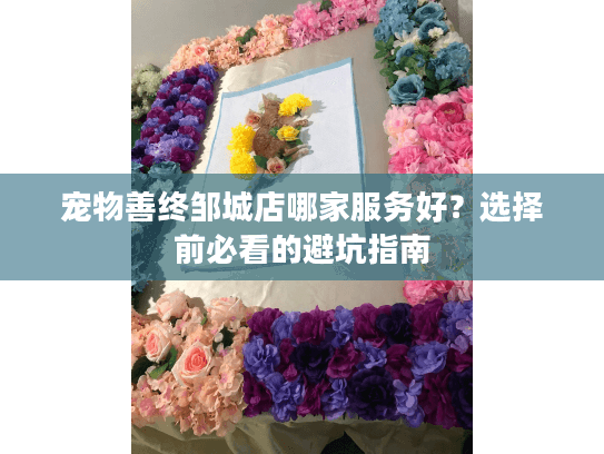 宠物善终邹城店哪家服务好？选择前必看的避坑指南