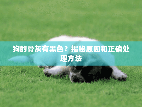 狗的骨灰有黑色？揭秘原因和正确处理方法
