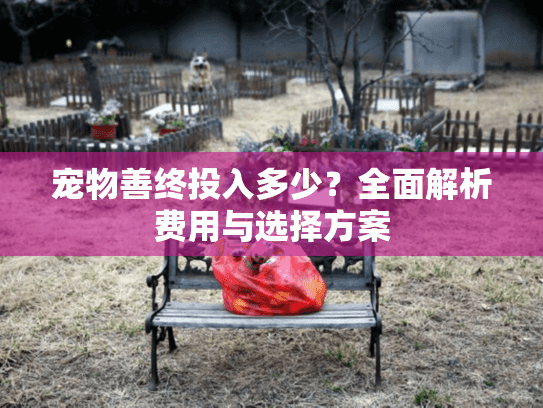 宠物善终投入多少？全面解析费用与选择方案
