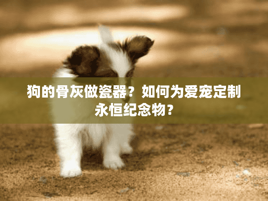 狗的骨灰做瓷器？如何为爱宠定制永恒纪念物？