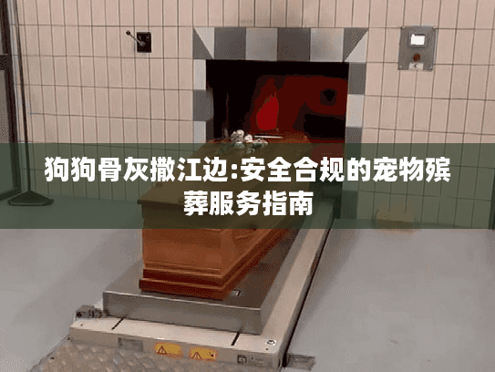 狗狗骨灰撒江边:安全合规的宠物殡葬服务指南