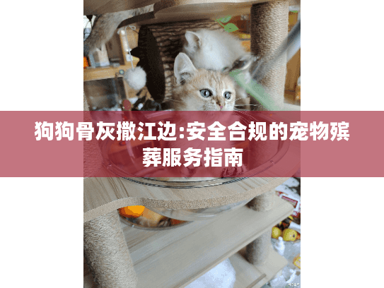 狗狗骨灰撒江边:安全合规的宠物殡葬服务指南
