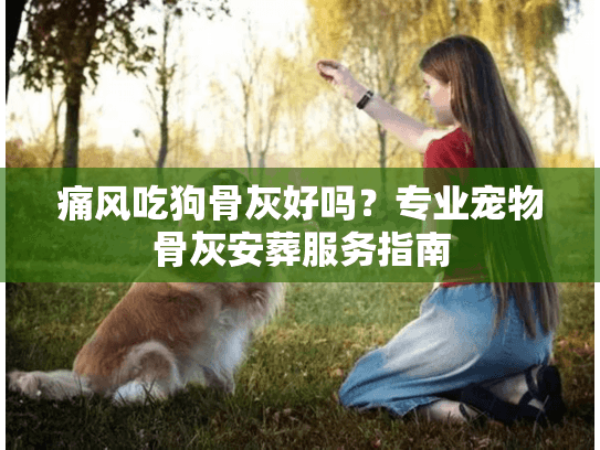 痛风吃狗骨灰好吗？专业宠物骨灰安葬服务指南
