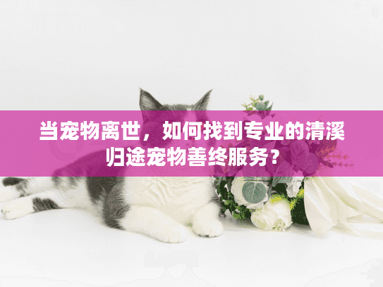 当宠物离世，如何找到专业的清溪归途宠物善终服务？