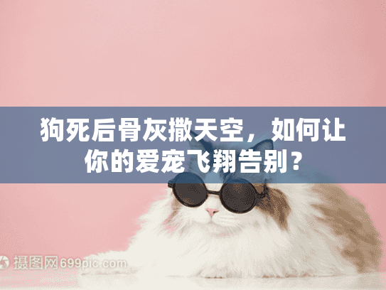 狗死后骨灰撒天空，如何让你的爱宠飞翔告别？