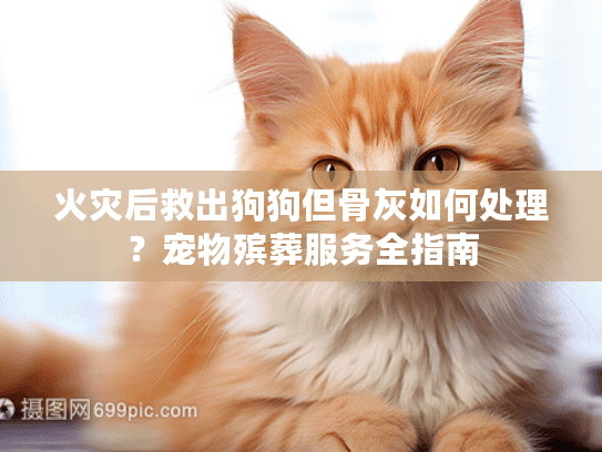火灾后救出狗狗但骨灰如何处理？宠物殡葬服务全指南