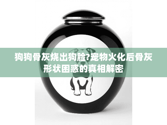 狗狗骨灰烧出狗脸?宠物火化后骨灰形状困惑的真相解密