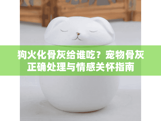 狗火化骨灰给谁吃？宠物骨灰正确处理与情感关怀指南