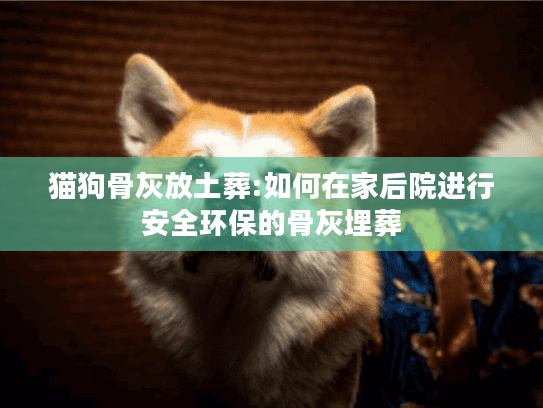 猫狗骨灰放土葬:如何在家后院进行安全环保的骨灰埋葬