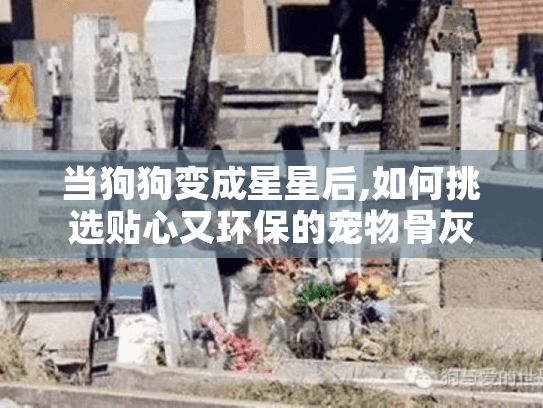当狗狗变成星星后,如何挑选贴心又环保的宠物骨灰盒？
