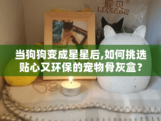 当狗狗变成星星后,如何挑选贴心又环保的宠物骨灰盒？